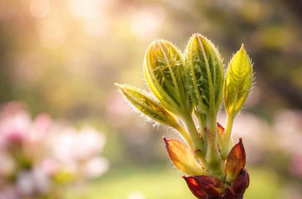 Aufbruch und Neuanfang